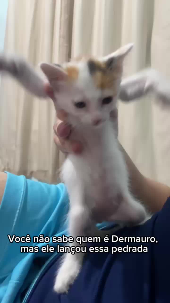 @O The Flash Barbosa 😺