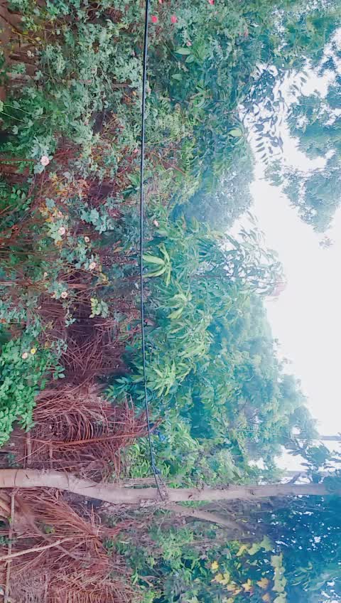 @praveen kumar