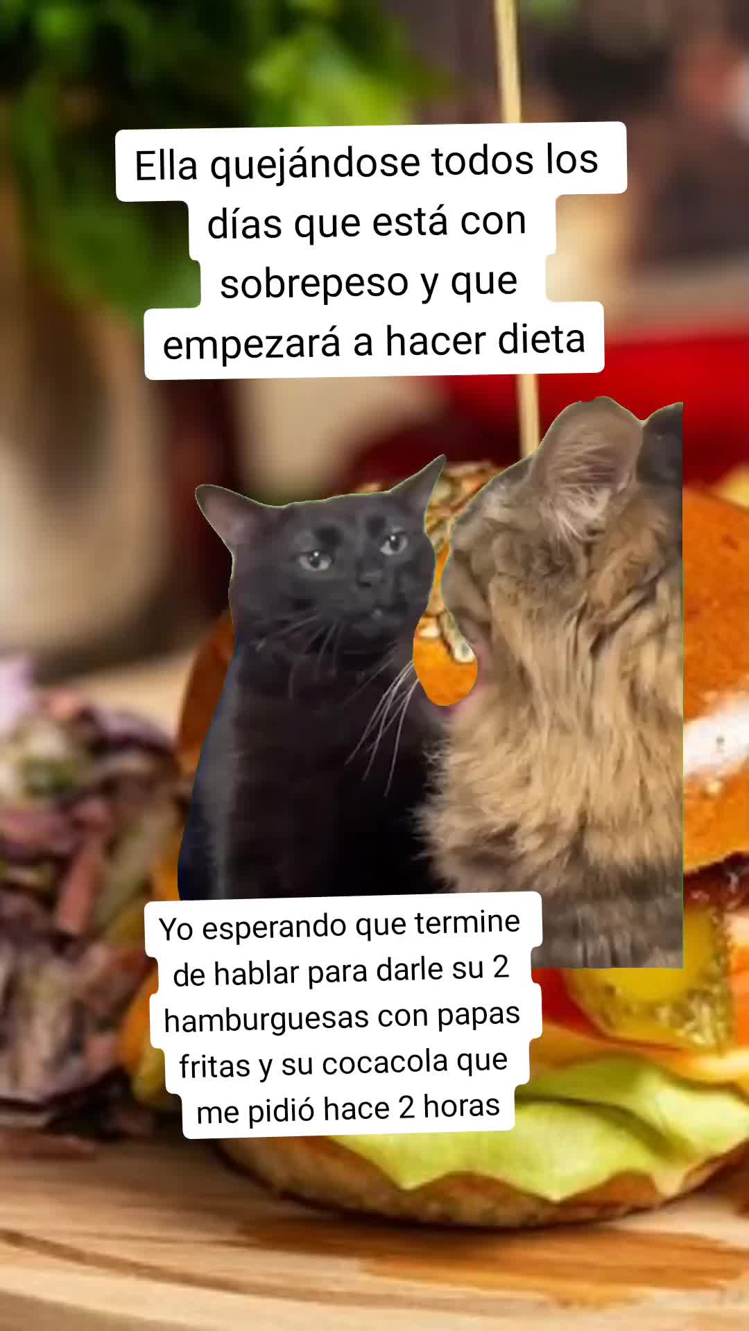 @Huguito