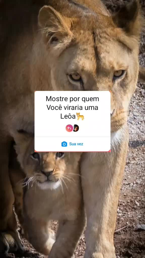 @ATELI&Ecirc;CUSTOMIZY