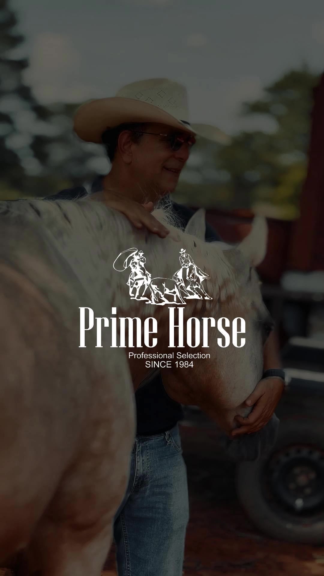 @PRIME HORSE