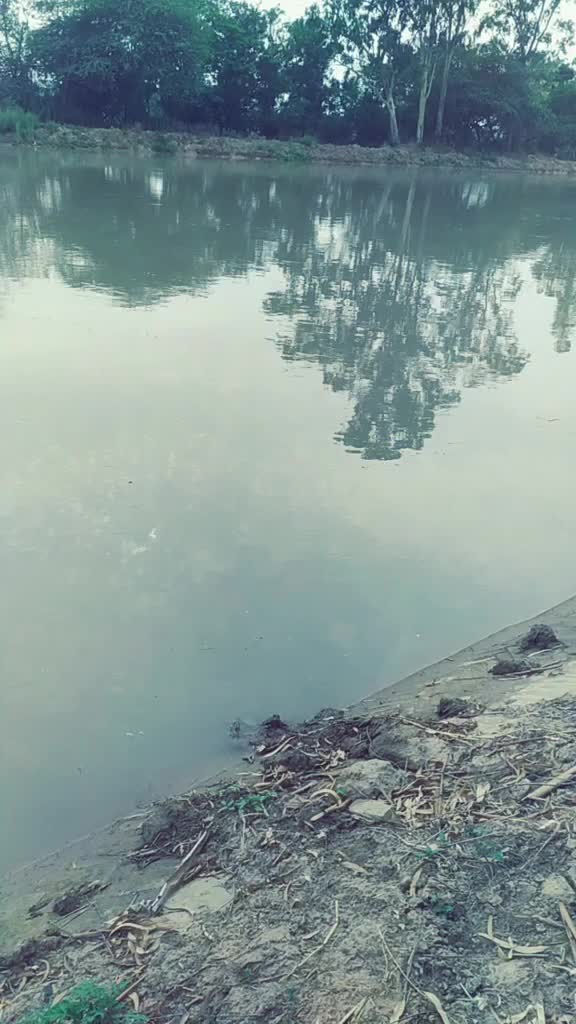 @ਸੱਤਾ ਧਮੋਟ