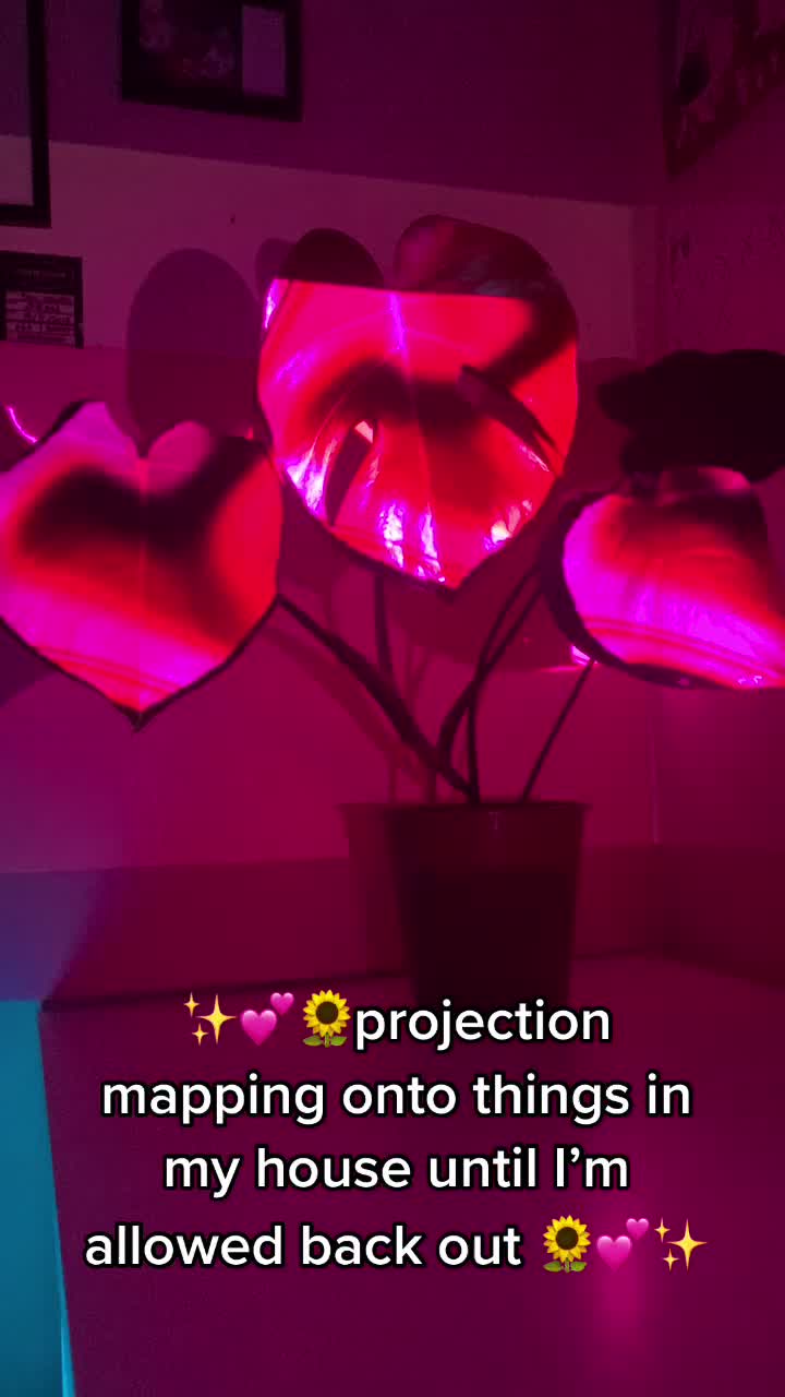 @han