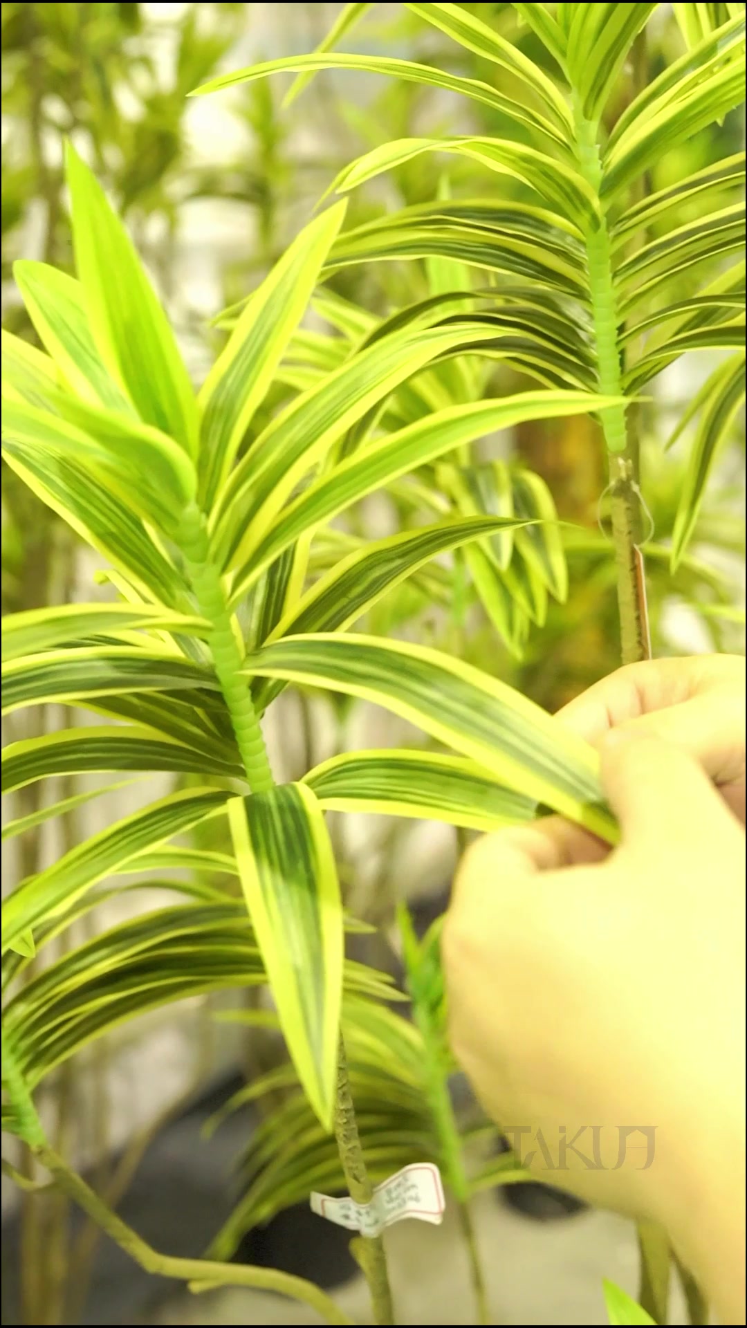 @Fábrica de plantas artificiais