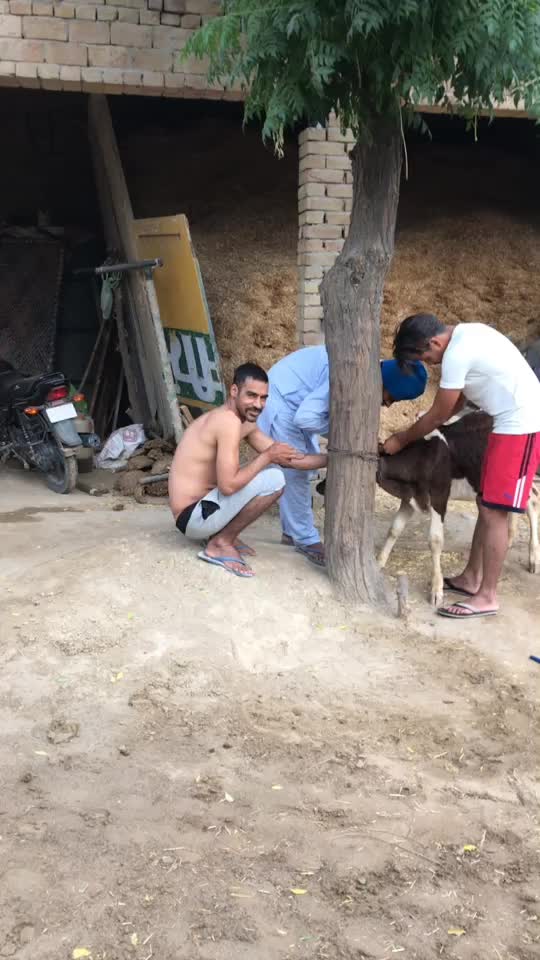 @bathinda wala bai