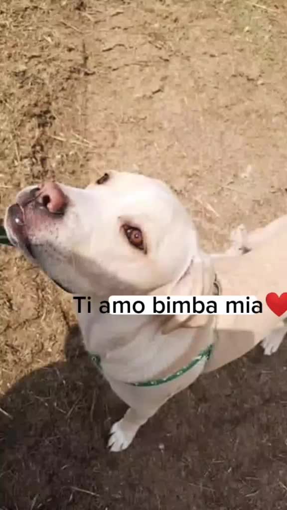@I_miei_animali❤️