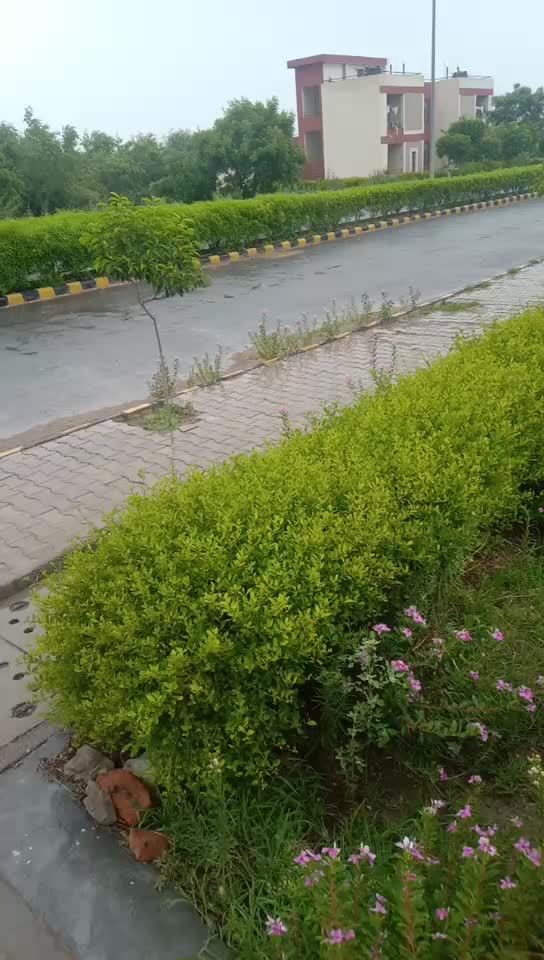 @सेरसियाकश्यप Hr.10