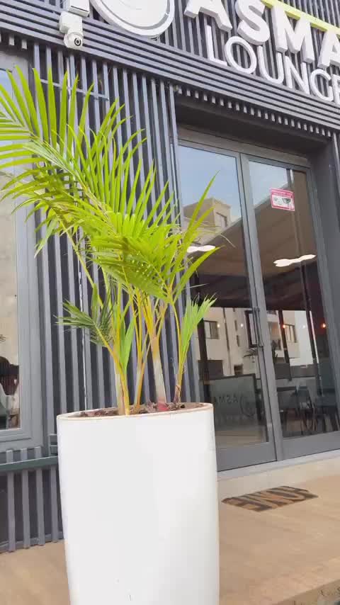 @Sen_petit_galsen