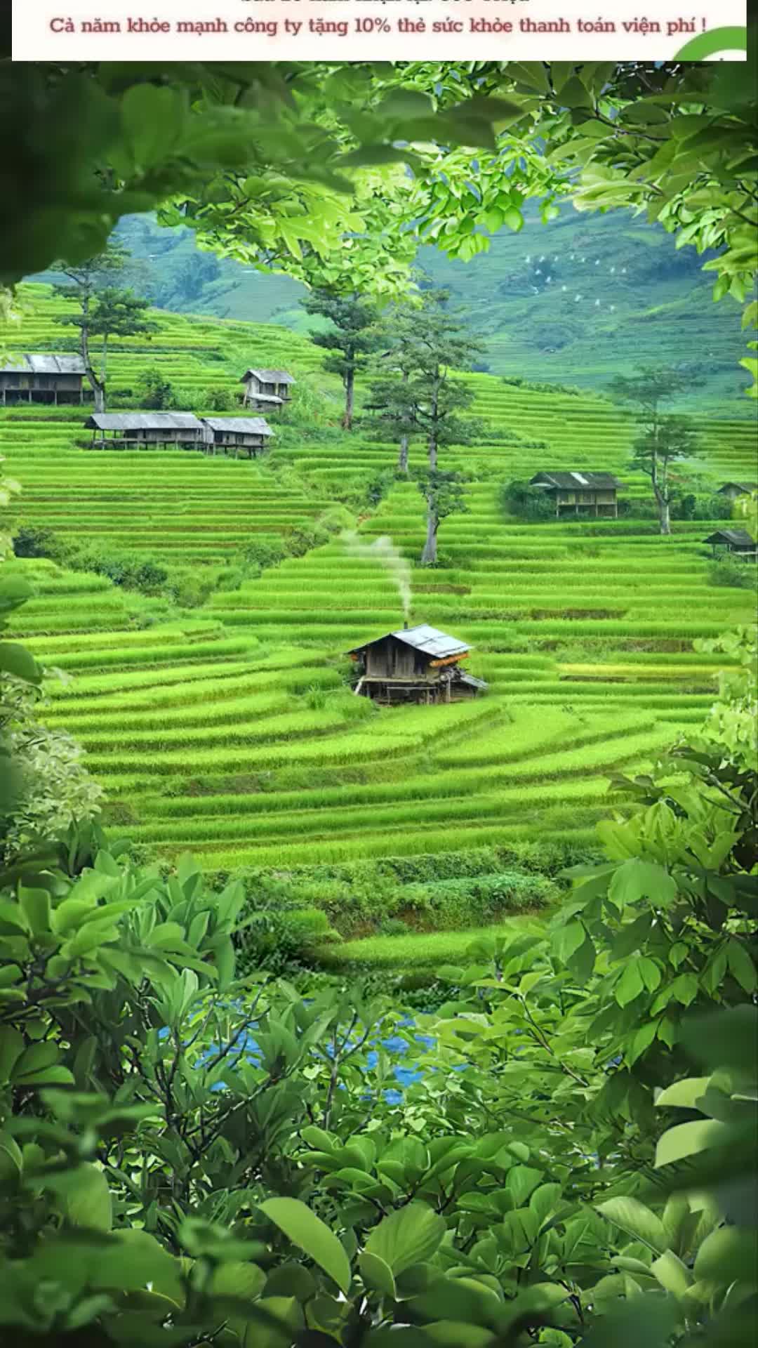 @Manulife H&agrave; Nội