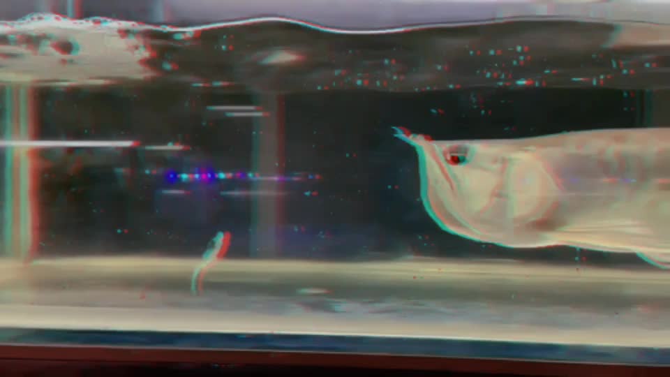 @♡︎ مصباح بن محمّد &hearts;︎