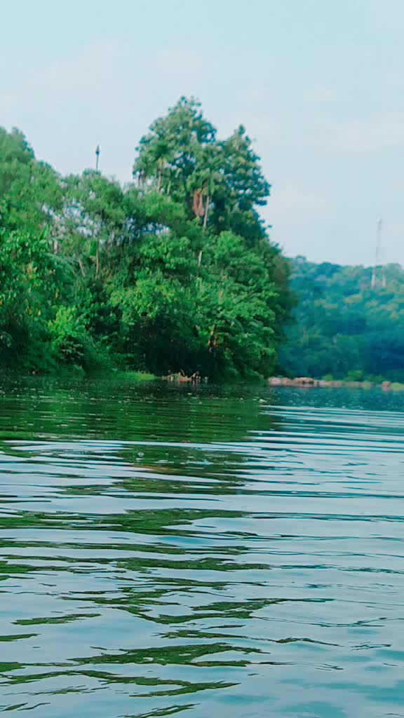 @Jyothis Varghese