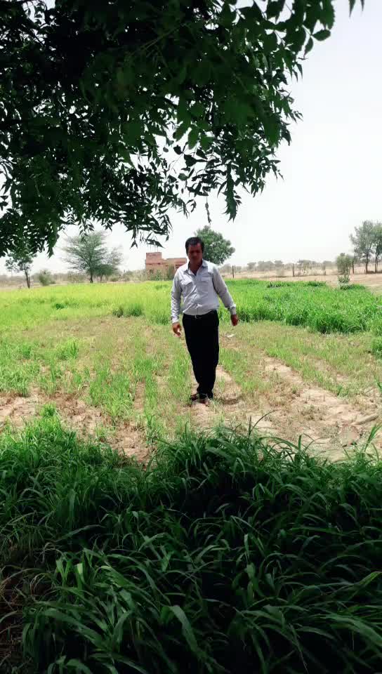 @Bishnoi 2929