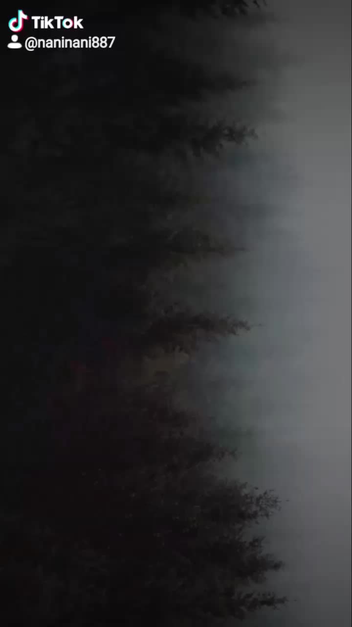 @Nani Nani
