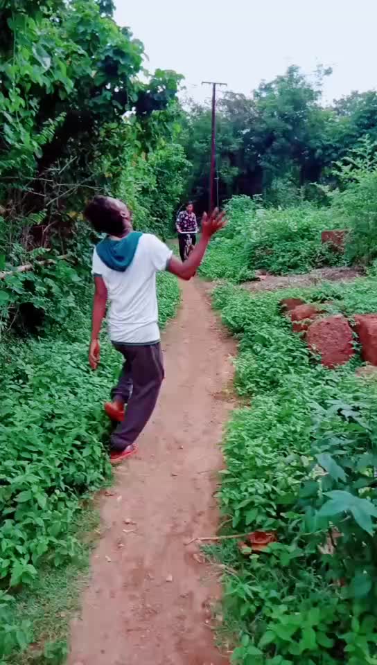 @Saining Lipu