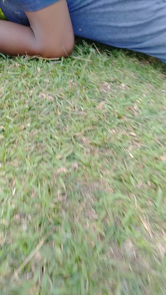 @Kanha rex 3