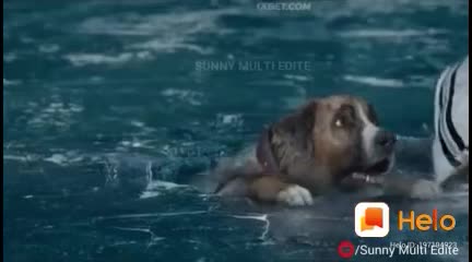 @user597527