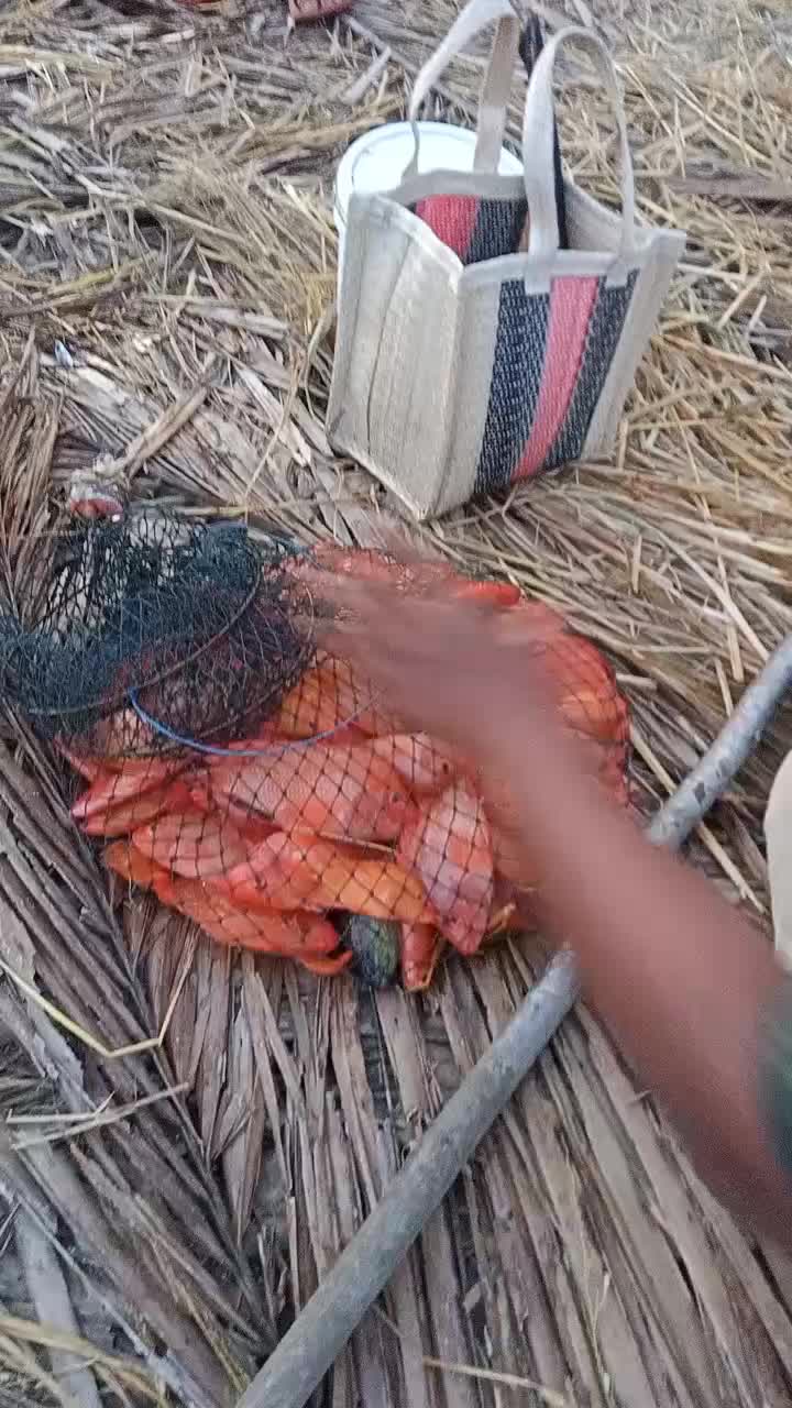 @orupnaselfishing