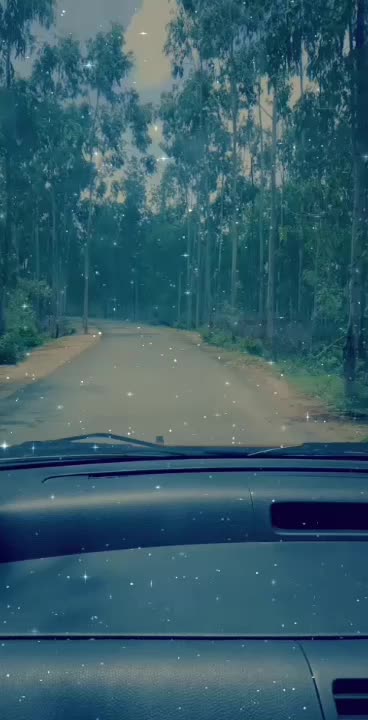 @spoorthireddy