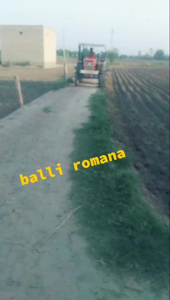 @Kuldeep Romana