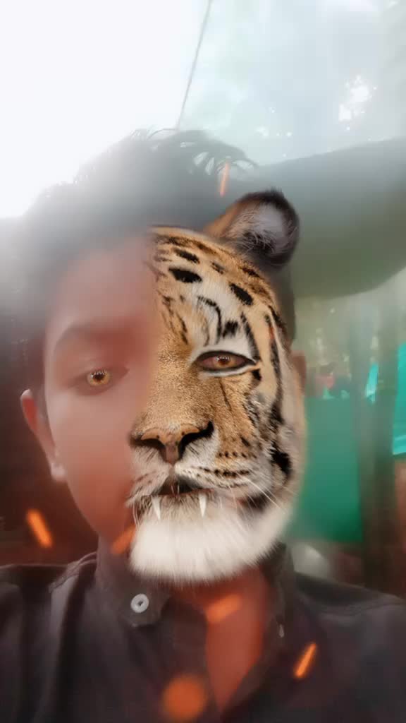 @KavyaP13