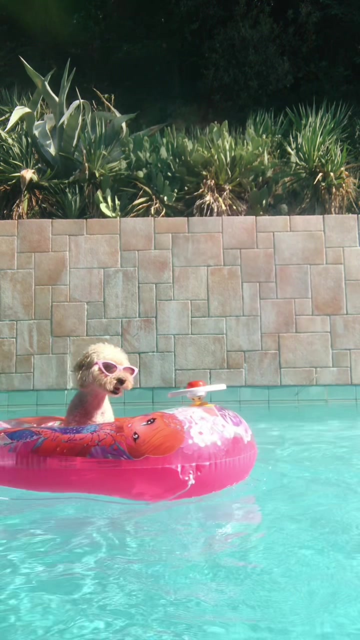 @DynamicFrankie