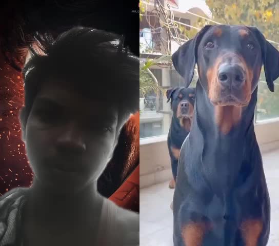 @Anji anji