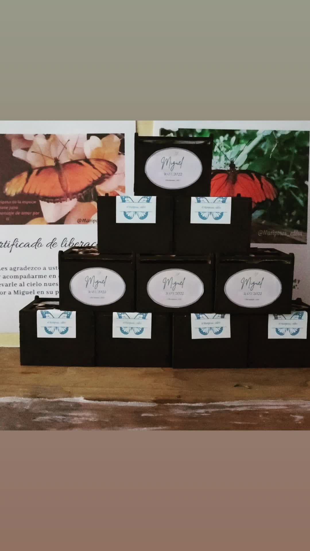 @Mariposas_EddVi