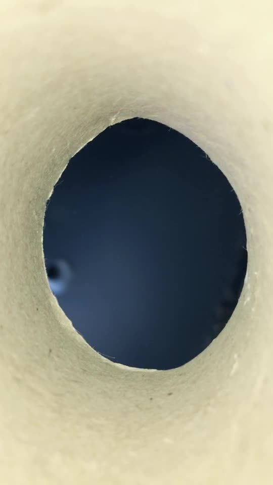 @waterpelon