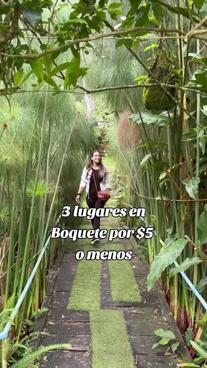 @Aly🐱