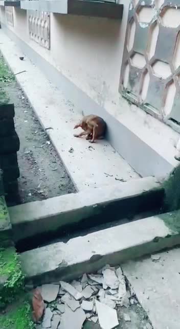 @Mahi Fouzder🐾😇