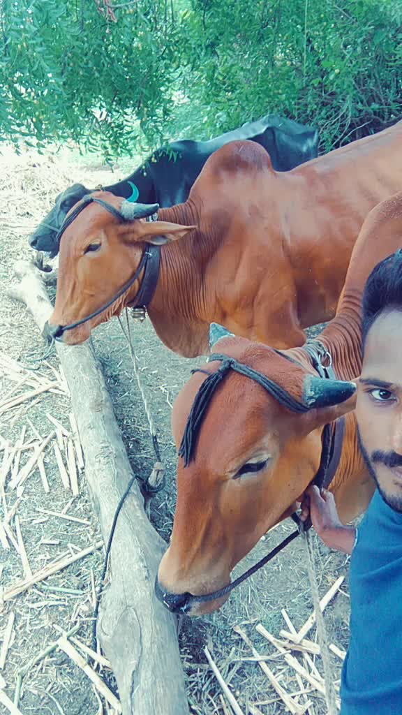 @भागवत आढाव