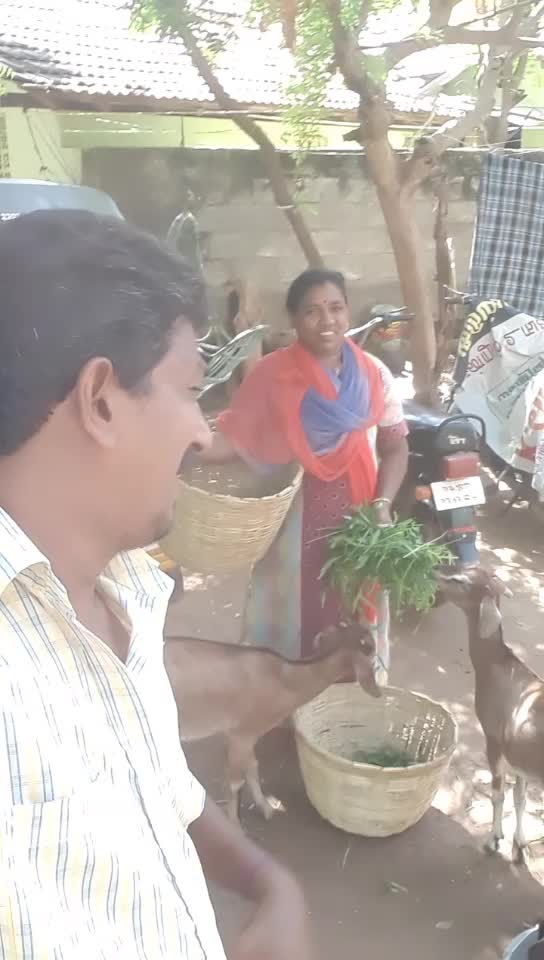 @thanjaimukeshoo21727