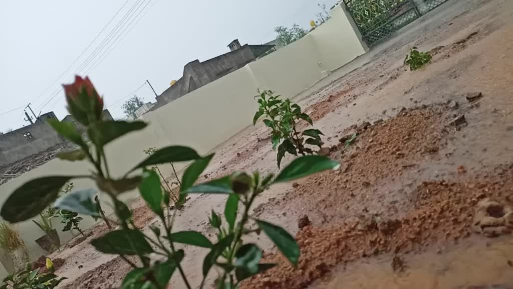 @Chaithra Shree