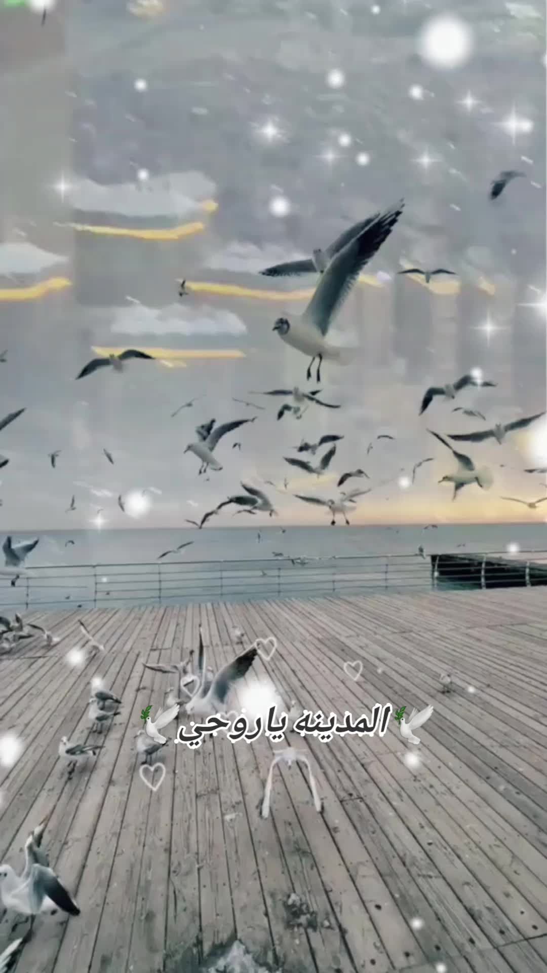 @《《《عـبـدالـوهـاب》》》