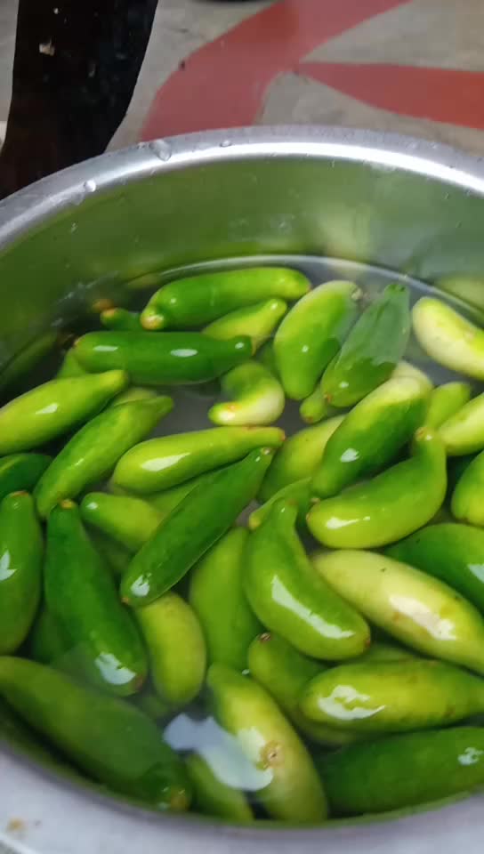 @mahi mahi