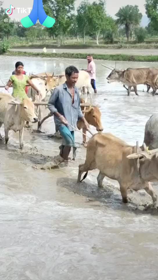 @Sushant kumar Sahu