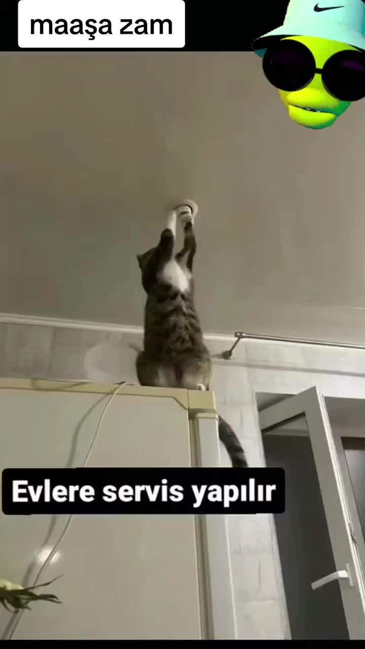 @OTTR Çek Gönder Gelsin