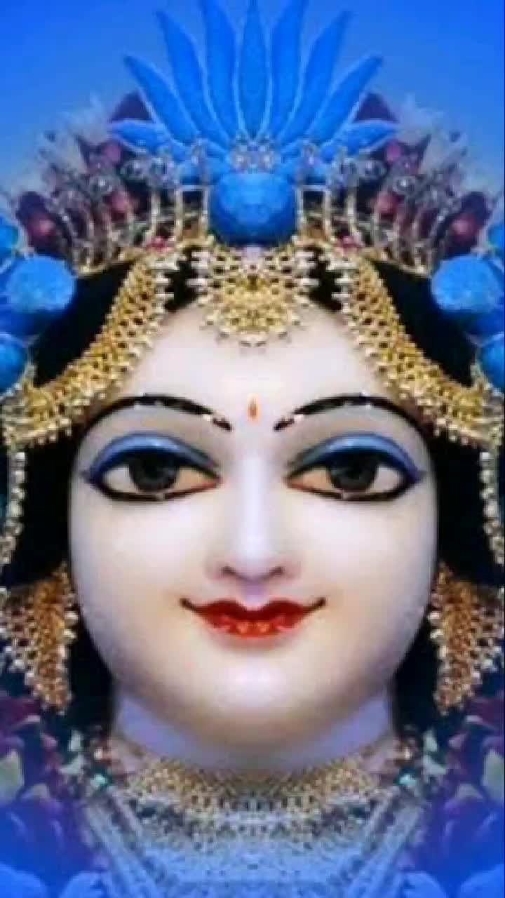 @user91111164241