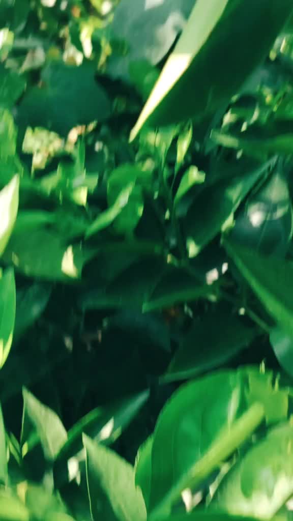 @xx_isha_xx❤