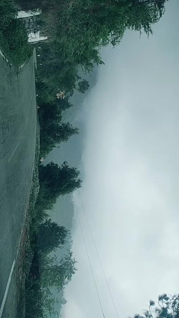 @negiji