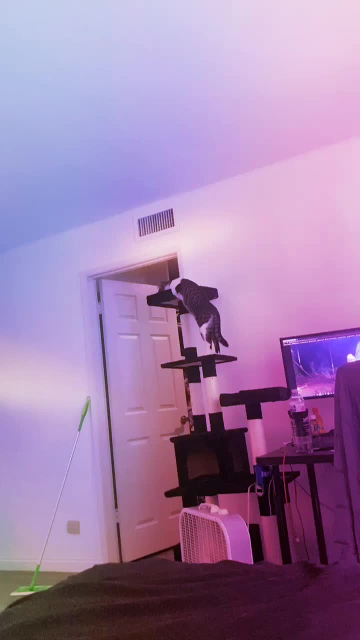 @Jennybear