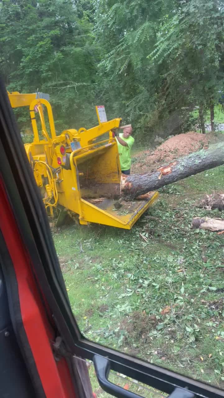 @Chads Tree Service