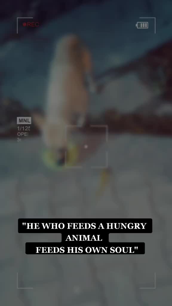 @Amit kumar