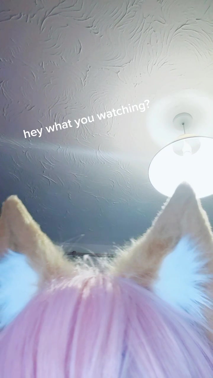 @SmolMoonie