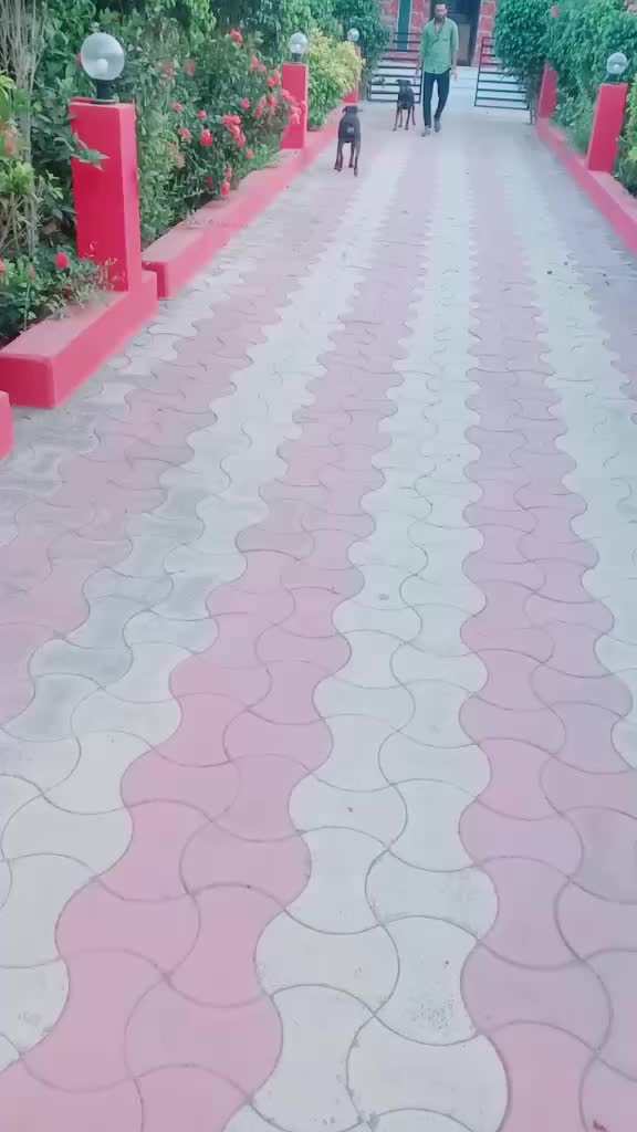 @arjunahirsatapar