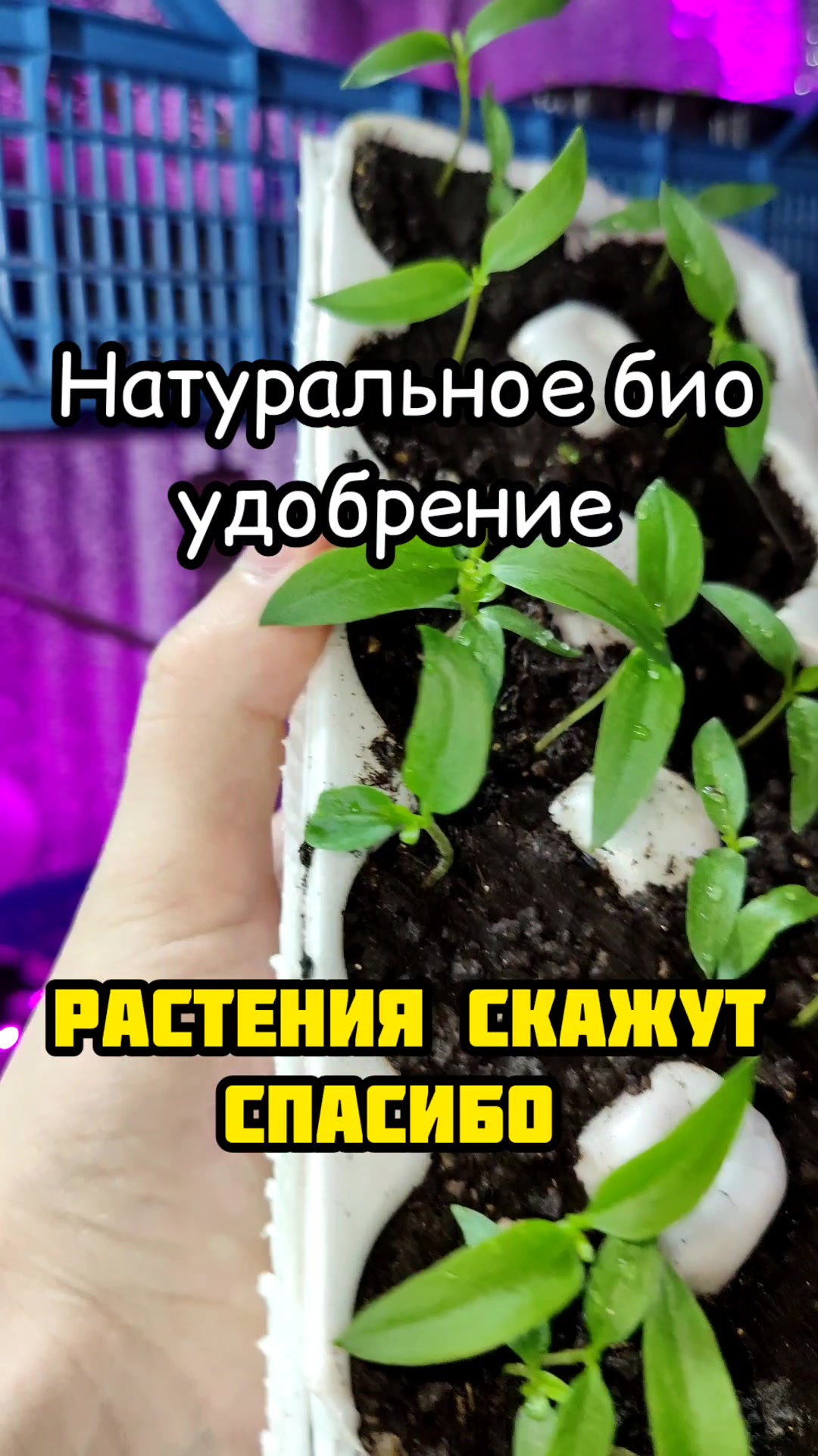 @Sad