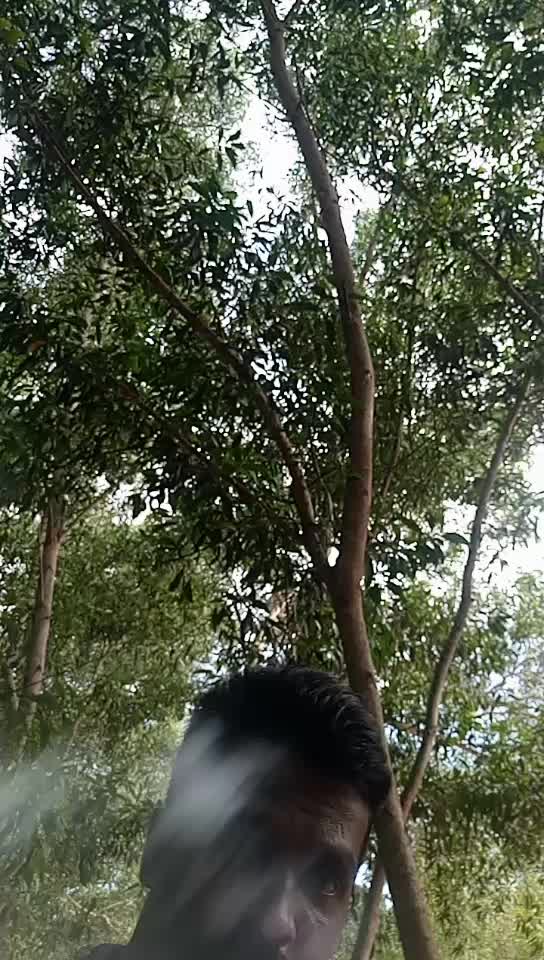 @Rajeshkumar