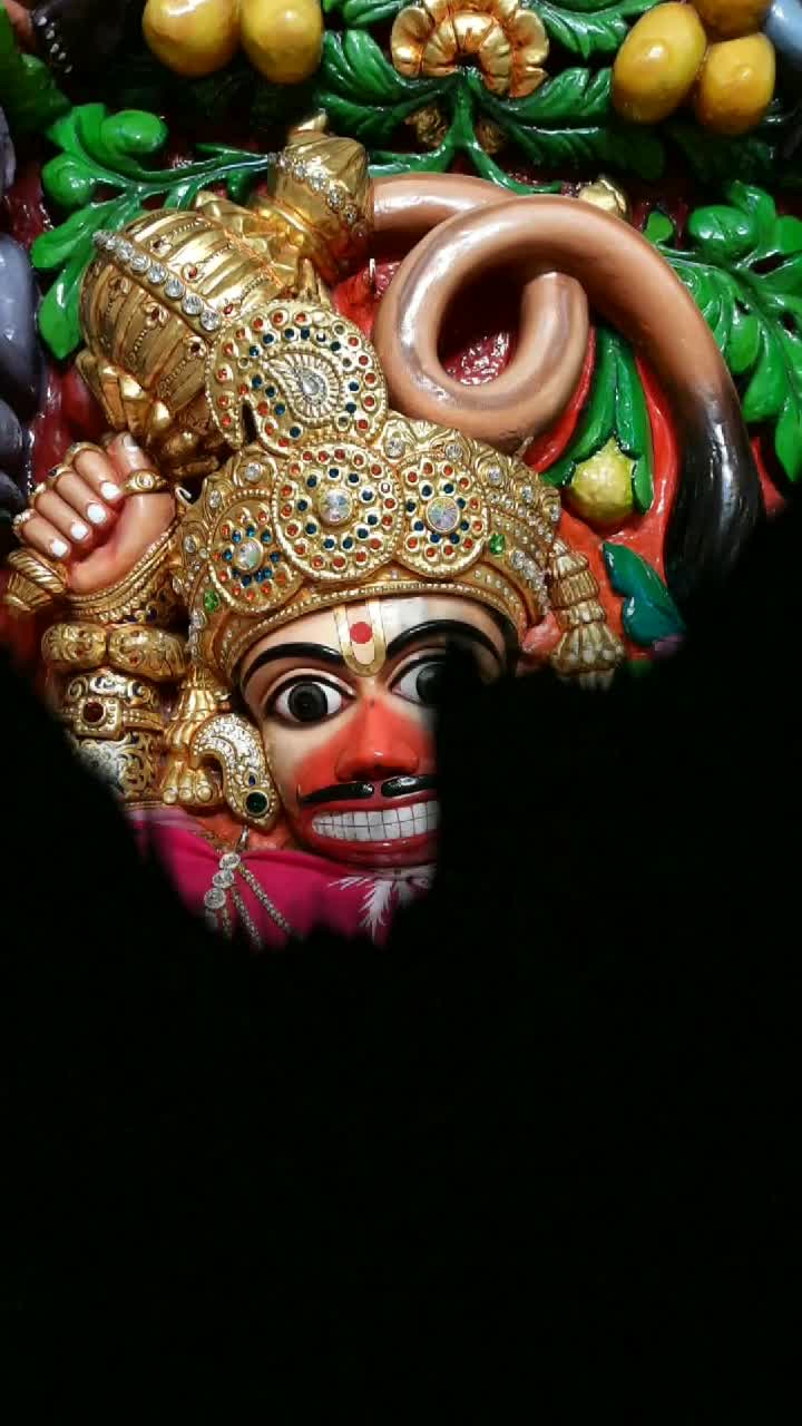 @sarangpurdham