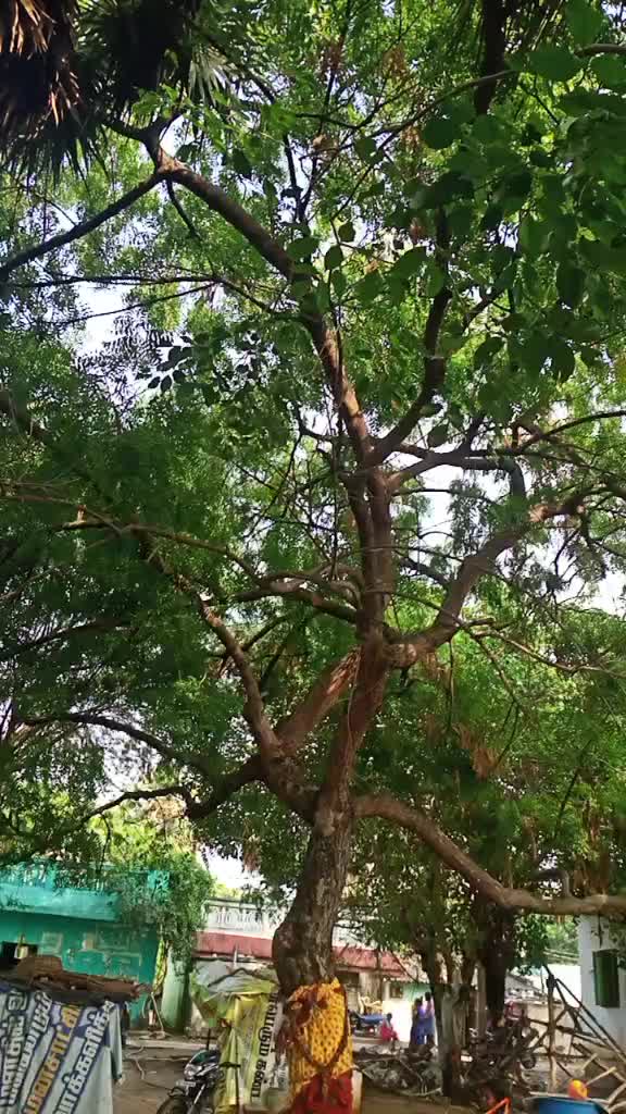 @CaLL 💞me💞💞chithu