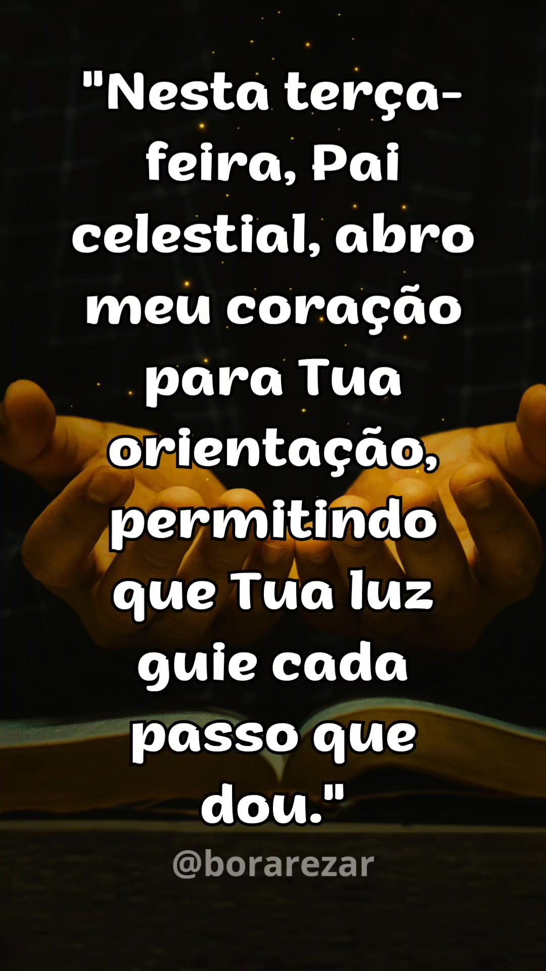 @Bora Rezar